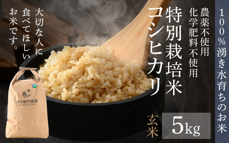 令和4年福井県産コシヒカリ農薬不使用有機肥料栽培玄米10kg | mdh.com.sa