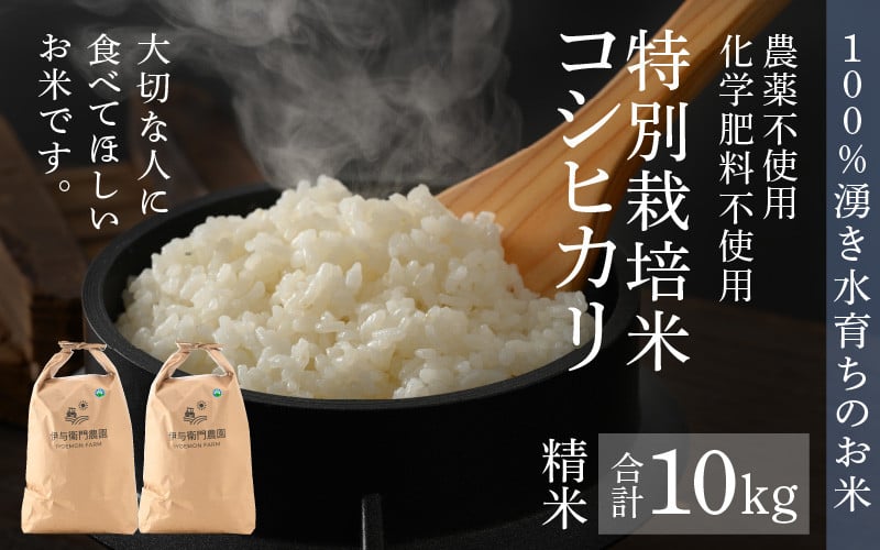 玄米10キロ 新潟県産こしいぶき 特別栽培米 4年産 低温冷蔵貯蔵