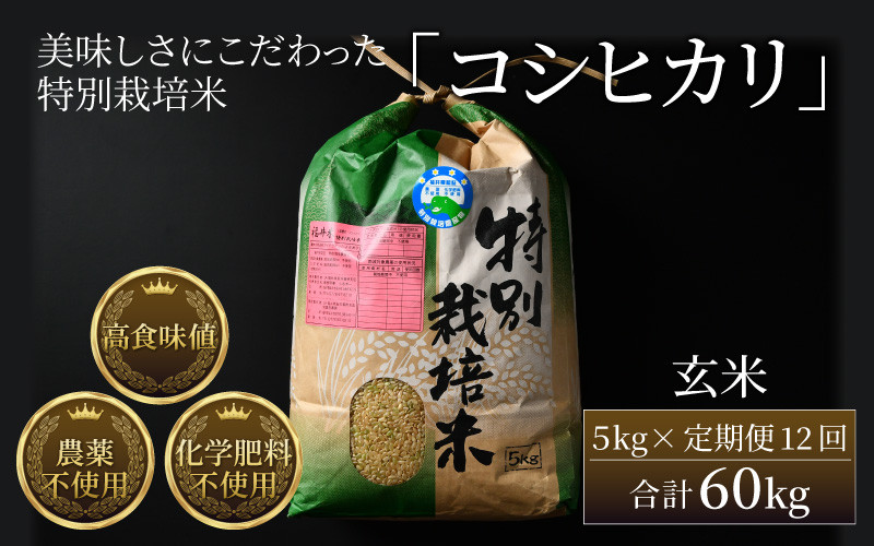 令和４年コシヒカリ　玄米　15kg 減農薬栽培