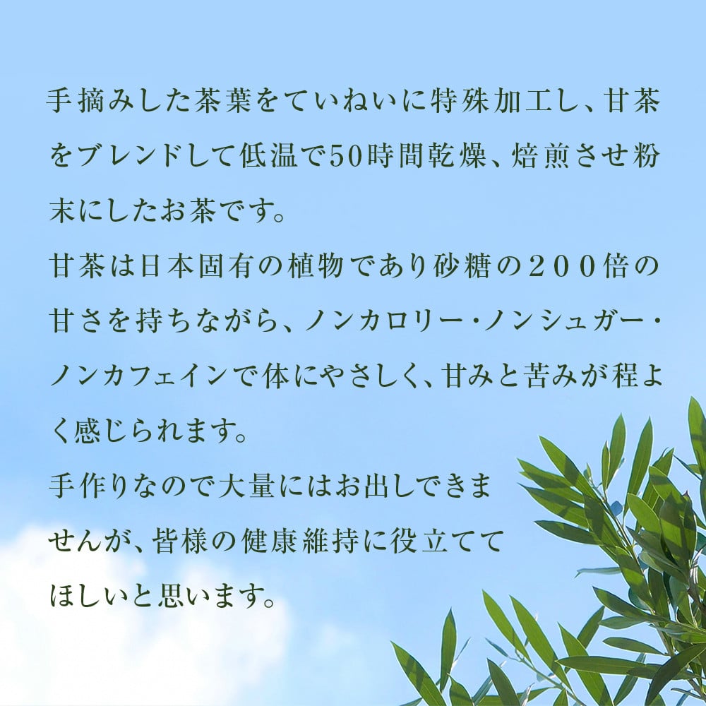 北限のオリーブ オリーブほうじ茶 ティーバッグ 8パック