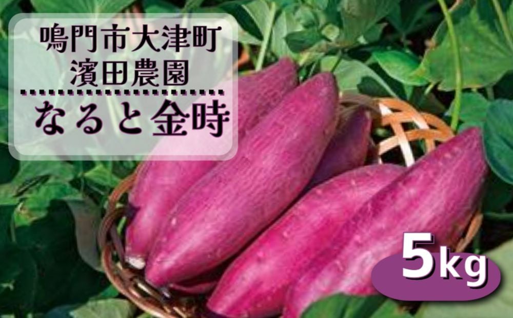 徳島県鳴門市｜ふるさとチョイス　なると金時　予約受付中】【訳あり】濱田農園　約5kg【数量限定】【2023年11月中旬より順次発送】　サイズ混合（不揃い）　ふるさと納税サイト