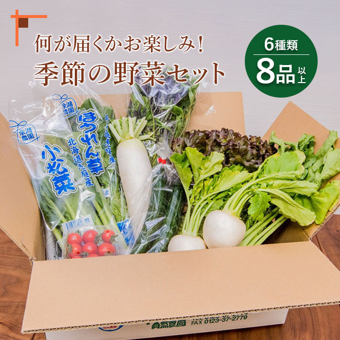 北海道産季節の野菜詰め合わせ 6種類8品【310005】