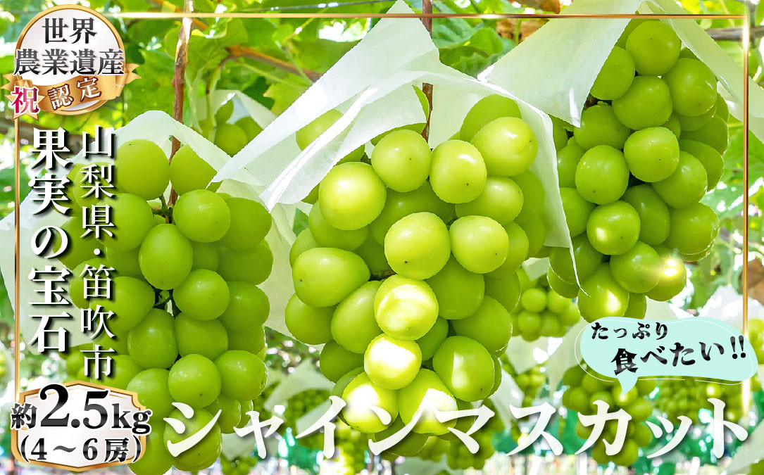 長野県産シャインマスカット 家庭用4kg - 果物