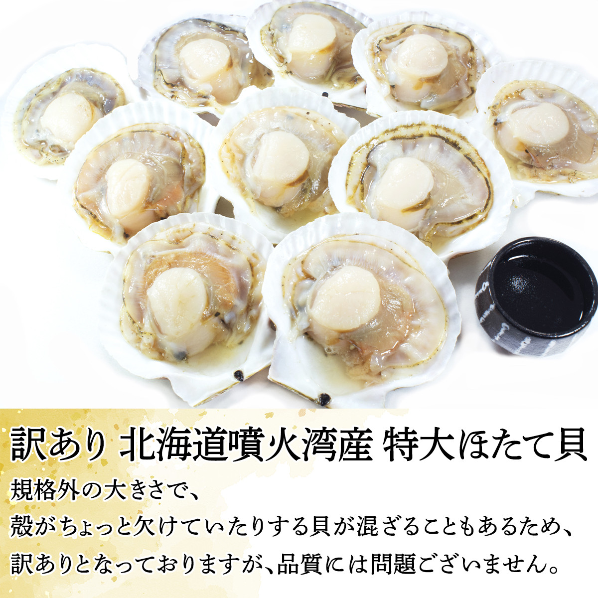 訳あり】【緊急支援品】北海道噴火湾産 特大ほたて貝 10枚 事業者支援