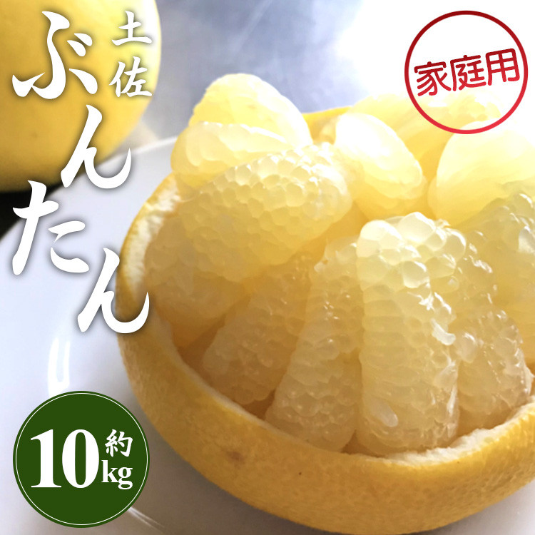 柑橘【自然栽培】高知県産文旦L〜4Lサイズ10kg