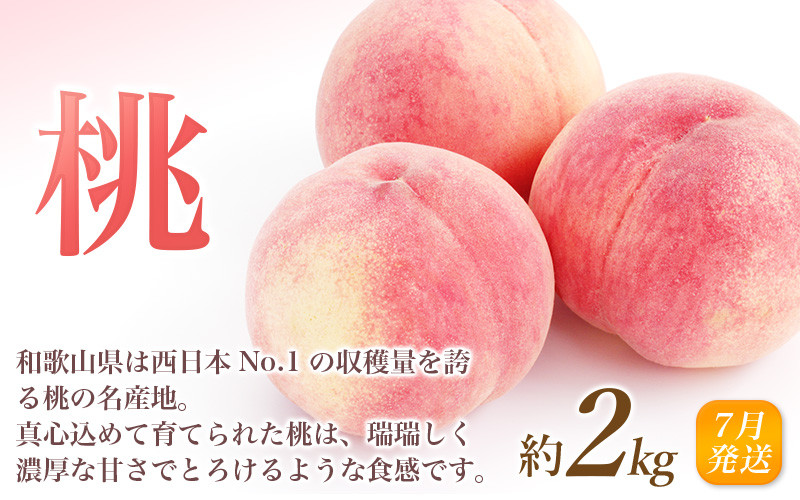 和歌山県産の美味しい桃の詳細はこちら