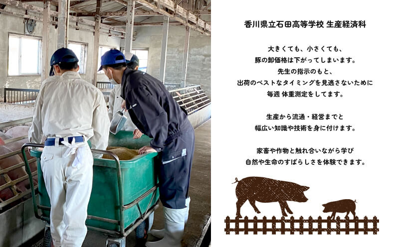 ふるさと納税 三浦市 神奈川県漁連 天然マグロ 2kg 不揃いサク