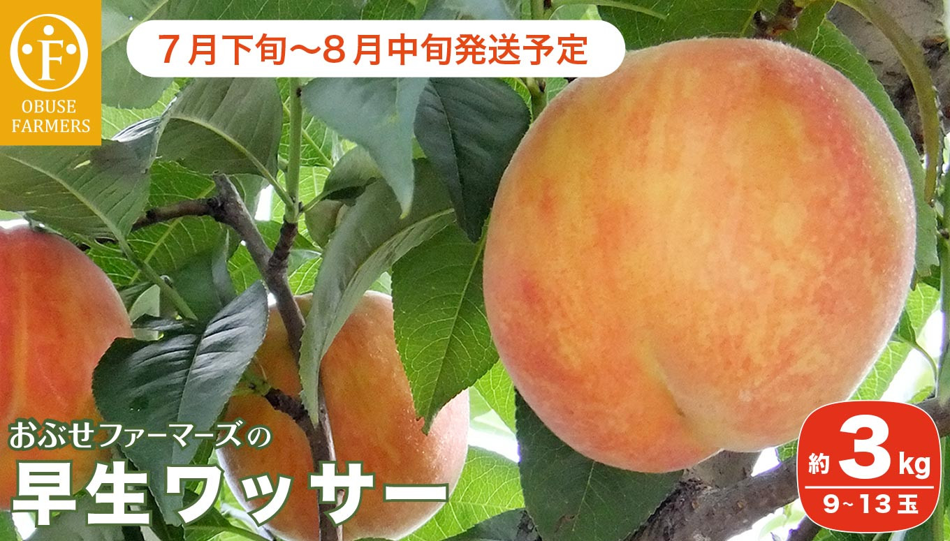 長野県産　ワッサー＆季節の桃　2種詰め合わせ　5kg  クール便対応