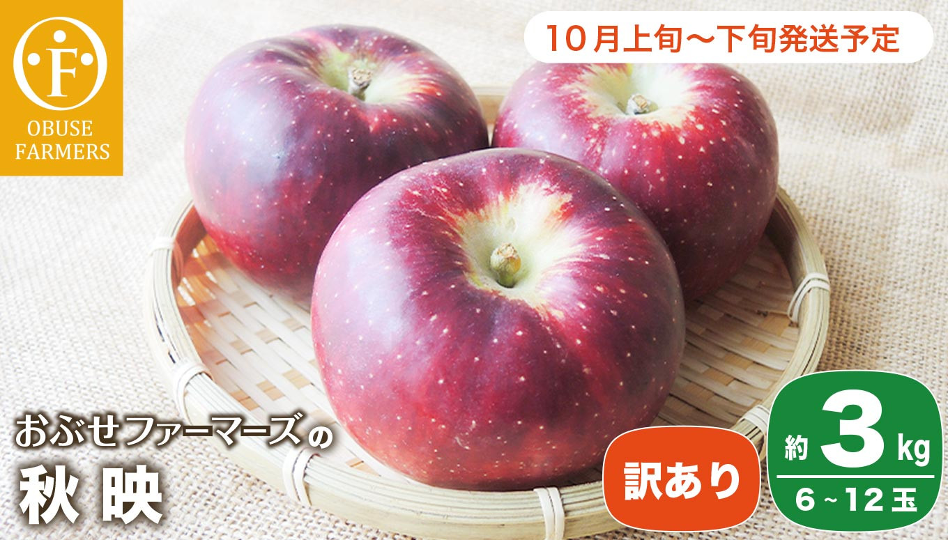 ぶーこ様専用ページ  ラ・フランス  L玉 15玉入(ご家庭用)