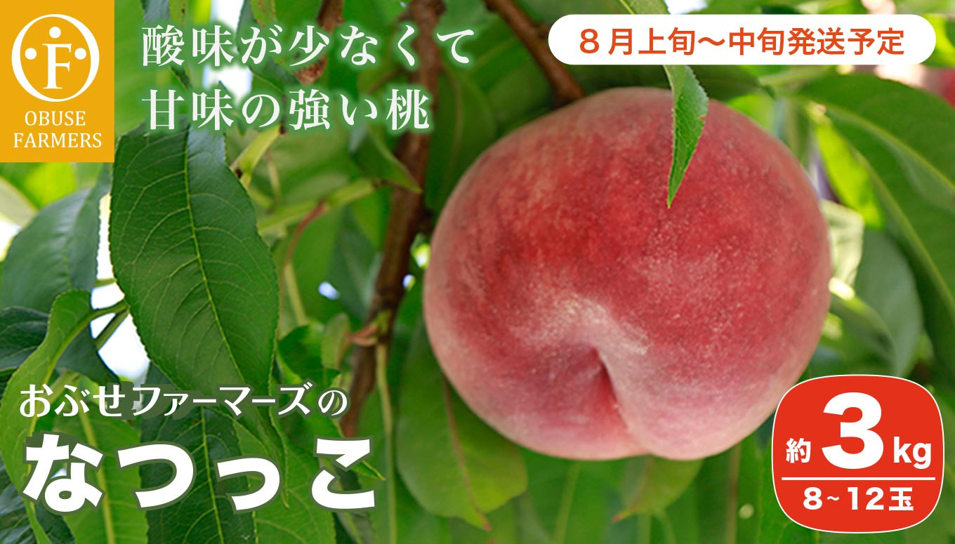 りんご青年村 信州産 なつっこ - 通販 - parelhas.rn.gov.br
