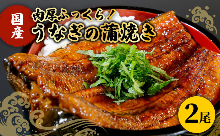 【肉厚ふっくら】国産うなぎ 蒲焼き 2尾【魚正】 [HBV001]