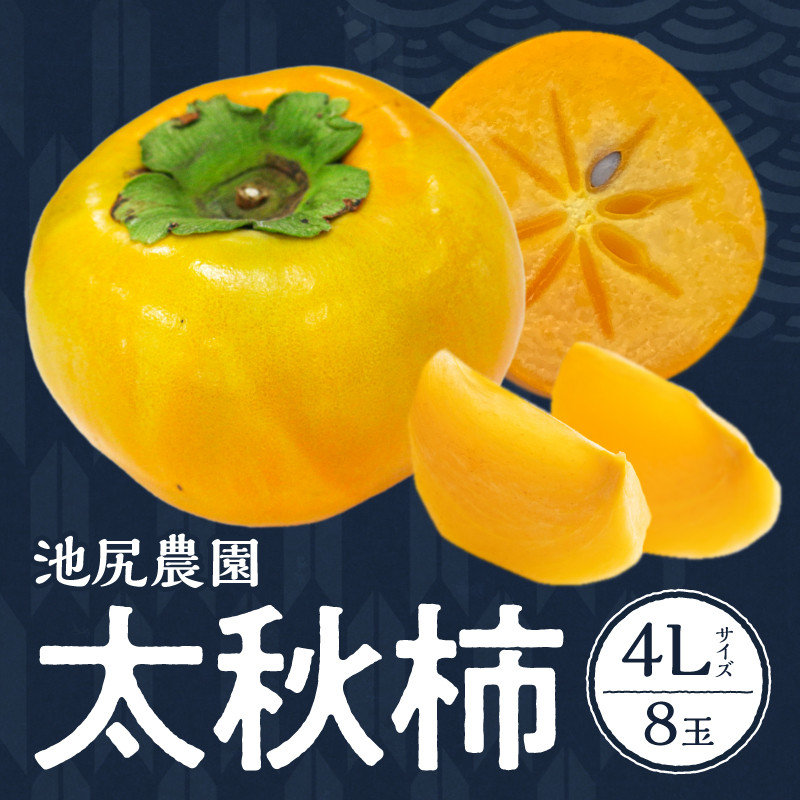SALE／103%OFF】 柿 太秋柿 熊本産 3kg 8〜12玉 送料無料 食品 国華園