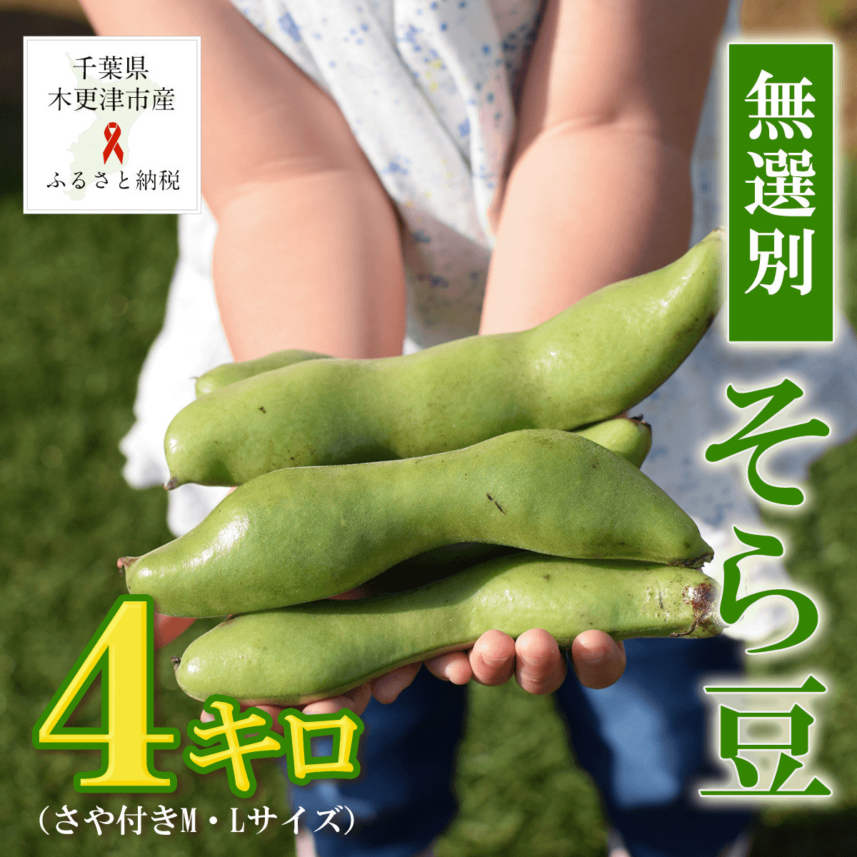 訳ありそら豆☆1キロ - 野菜