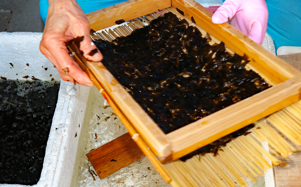 いせる作業には高い技術が必要。冷たい水につけながらで手もかじかみます