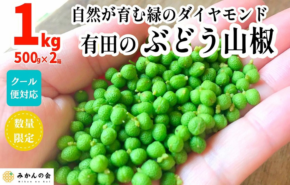 SALE／91%OFF】 兵庫産 冷凍実山椒 500g前後 あく抜き済 山椒 山椒の実