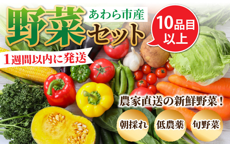 野菜セット こしひかり10合 野菜詰め合わせ - www.minik.hr