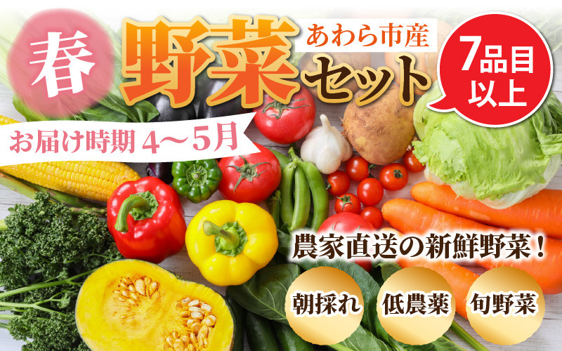 先行予約】農家直送 春野菜セット 1箱 7品目以上 《元気に育った新鮮