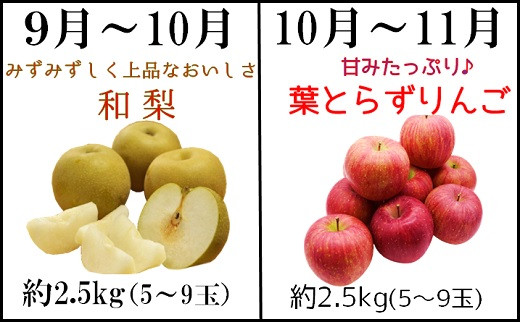 食の都庄内 第２弾！【フルーツ定期便10回】2023年6月～2024年3月お