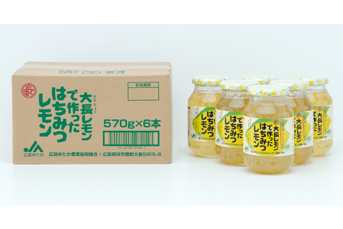 大長レモンで作ったはちみつレモン 570g×6本 広島県呉市｜ふるさとチョイス ふるさと納税サイト