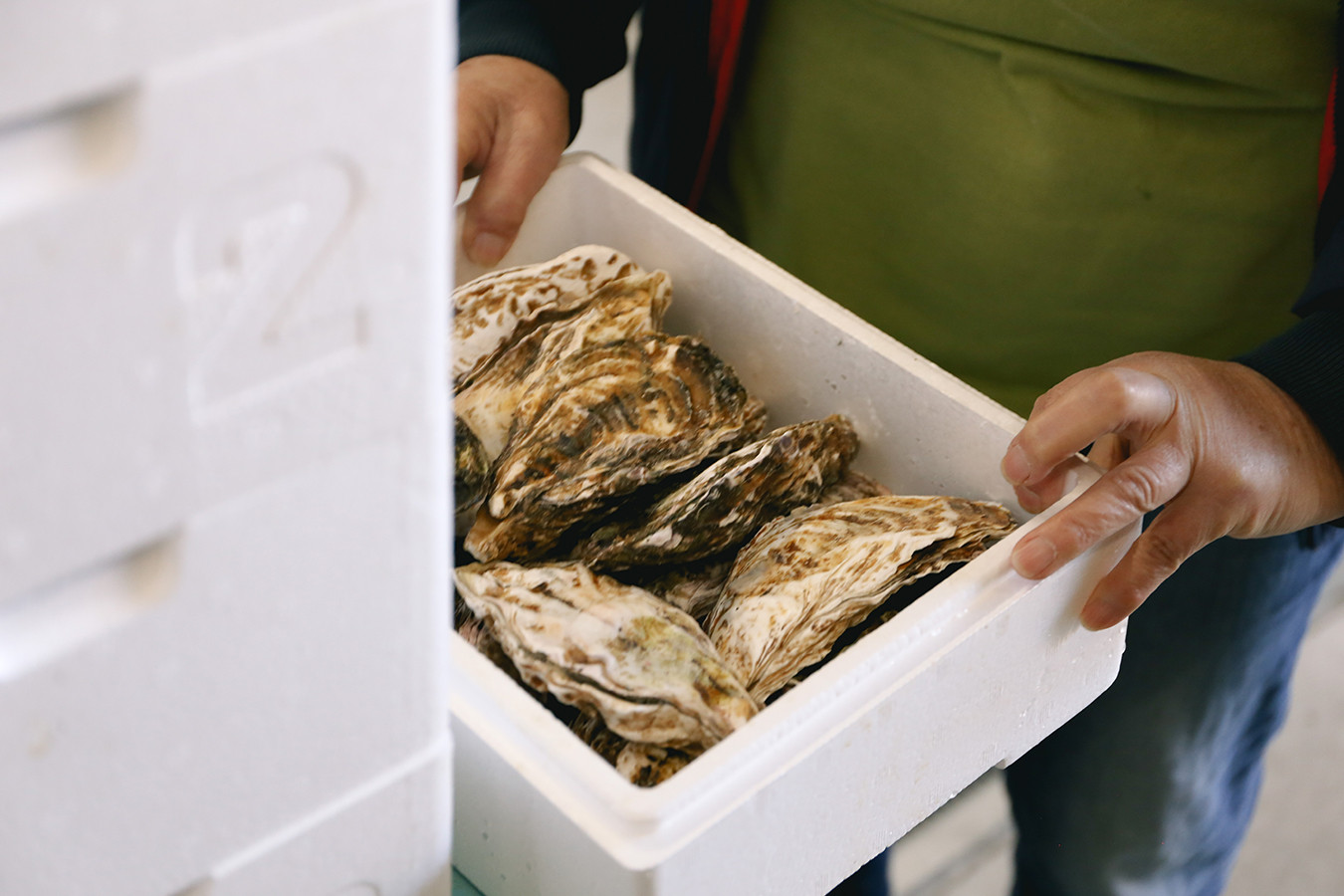 秀栄水産 瀬戸内の 牡蠣 （殻つき 大粒15粒） 海の幸 海のミルク 海鮮