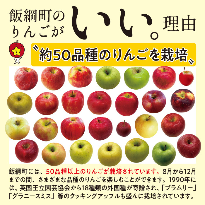 りんご 紅玉 家庭用 4.5kg 中村ファーム ( 中村りんご農園 ) 沖縄県へ