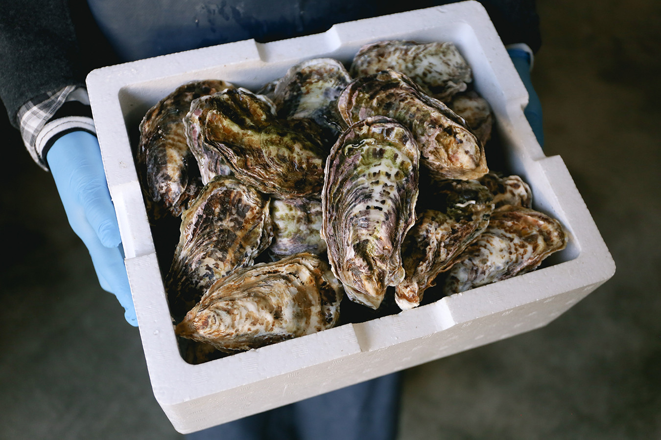 秀栄水産 瀬戸内の 牡蠣 （むき身 700g） 海の幸 海のミルク 海鮮 貝