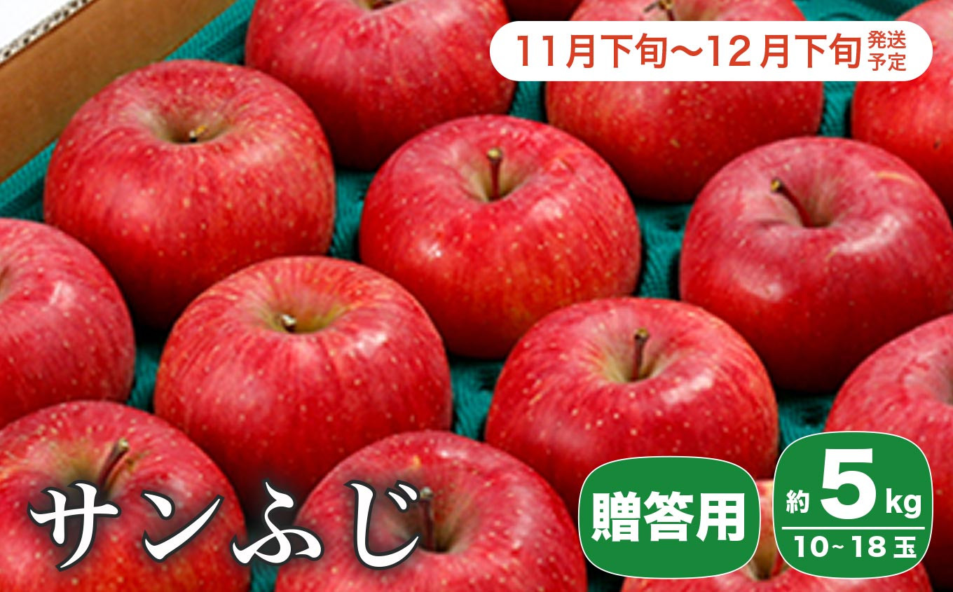 サンふじ 贈答用 約5kg 10～18玉 ［小布施屋］ 2023年11月下旬～12月