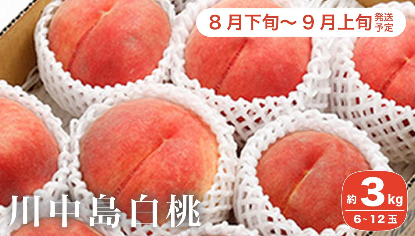 川中島白桃 約3kg 6～12玉 ［小布施屋］ 2023年8月下旬～9月上旬発送