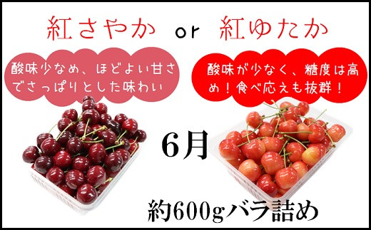 食の都庄内　第２弾！【フルーツ定期便10回】2023年6月～2024年3月お届け 旬のフルーツ定期便