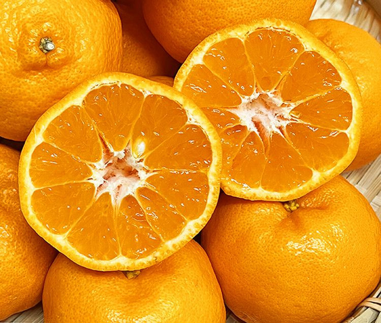 ジューシーな果肉とまろやかな果汁がクセになる柑橘です。