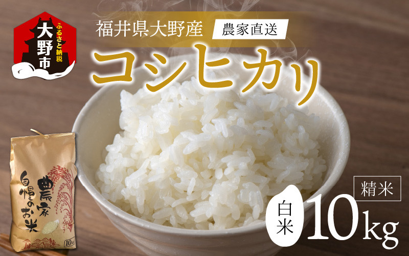 令和5年産 新米】福井県大野市産 コシヒカリ 白米 精米 10kg 農家直送