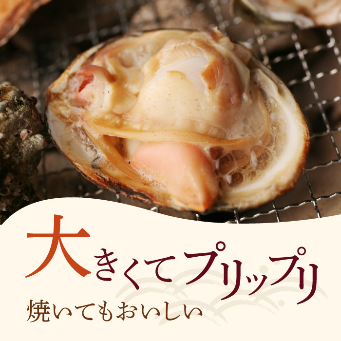 ふるさと納税 三重県産天然はまぐり 3kg ハマグリ 蛤 お吸い物 焼き