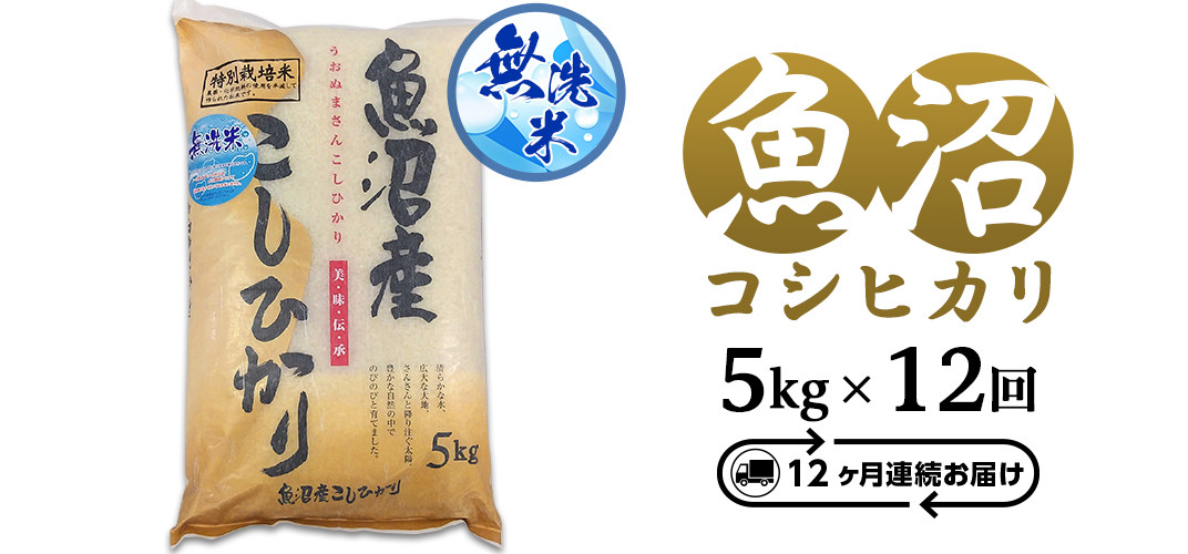 ふるさと納税 新潟県胎内産コシヒカリ10kg（森の田んぼ） 新潟県胎内市