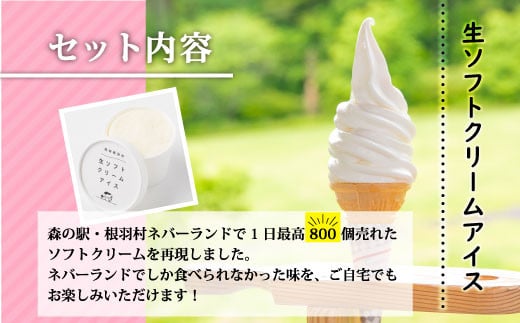 生ソフトクリームアイス＆信州りんごアイス たっぷり16個入り アイスクリーム 10000円