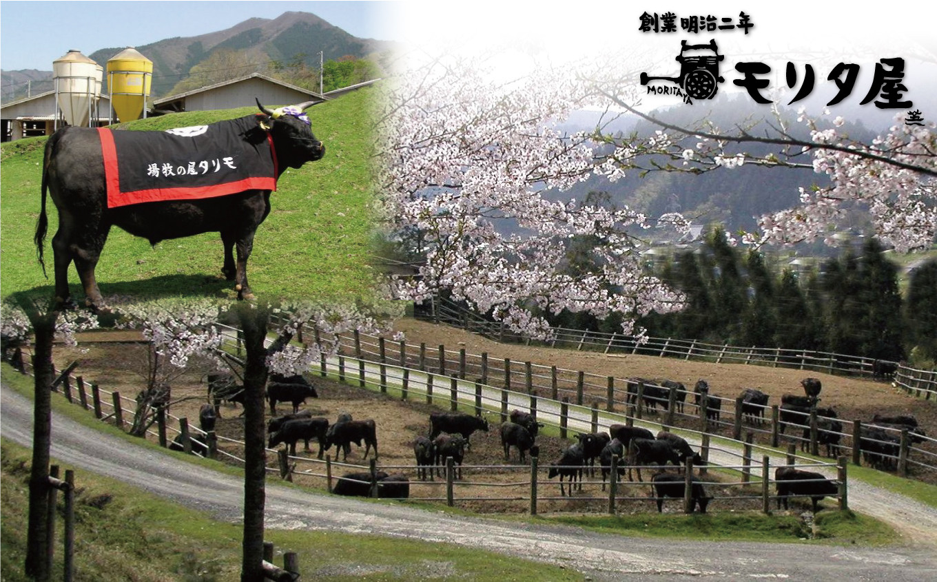 京丹波町の直営牧場（農事組合法人和知町升谷畜産振興組合）。