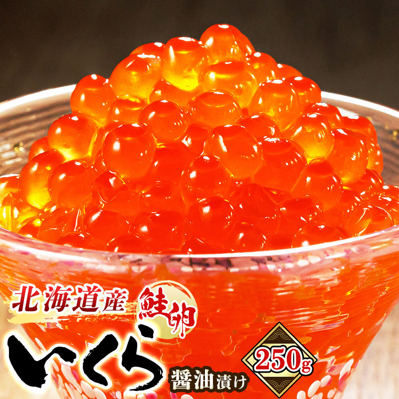 寄附額 10000円