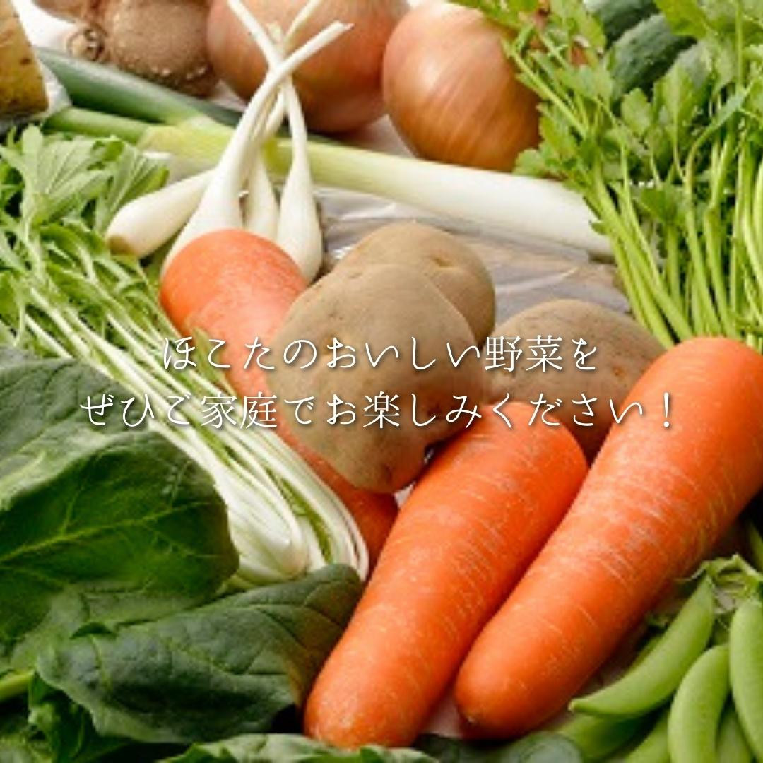 百笑オーガニック野菜セット（8〜10品目）　通販　ふるさと納税　鹿嶋市　茨城県　KAG-29