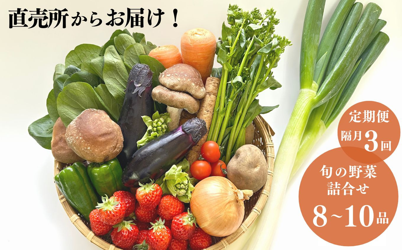 直売所からお届け！ 旬の野菜セット（8～10品詰め合わせ） 新鮮な野菜直送便