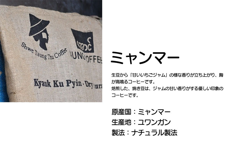 ふるさと納税 C34-001　焼き立て珈琲豆　定期便　毎月3種×6ヶ月 山形県鶴岡市