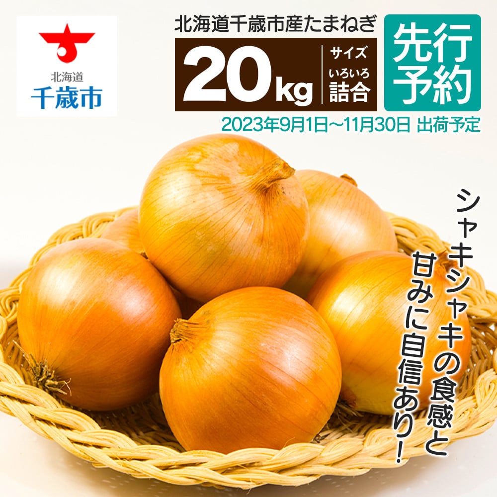 北海道産 玉ねぎ Lサイズ 20kg - 野菜