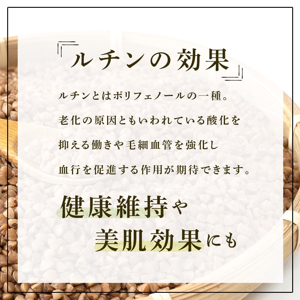 そば そば茶 セット 訳あり 賞味期限間近 干そば 6人前(200g×3束