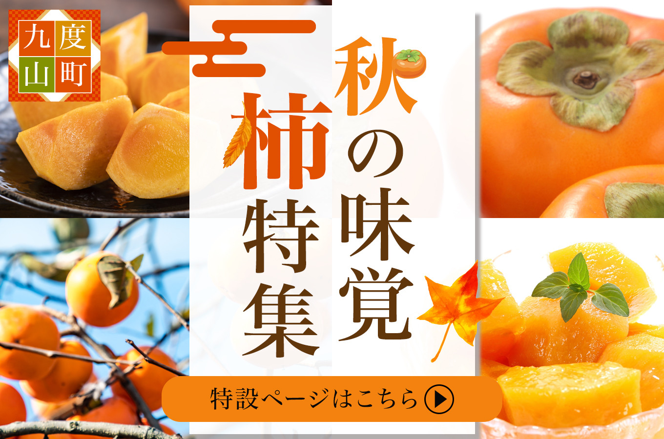 5和歌山県 九度山産 種無し柿 家庭用 9個から12個9 10~15発送予定 通販