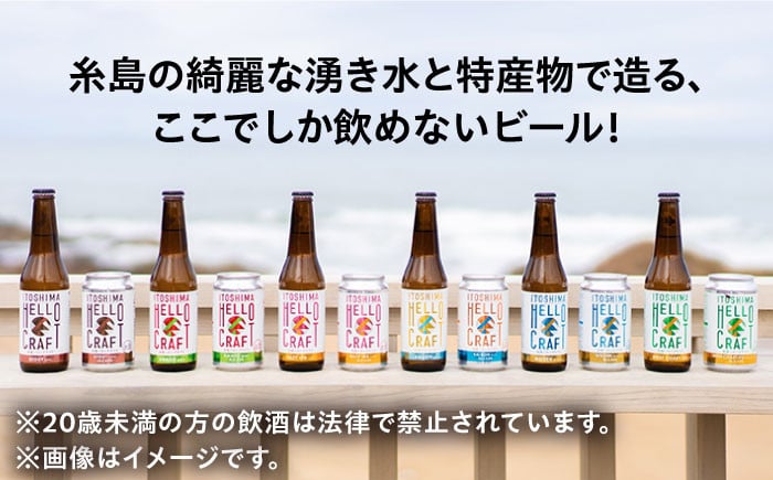 【 6本 飲み比べ 】糸島 クラフト ビール 瓶 詰め合わせ 6本 セット 糸島市 / HELLO BREWERY [AGM001]