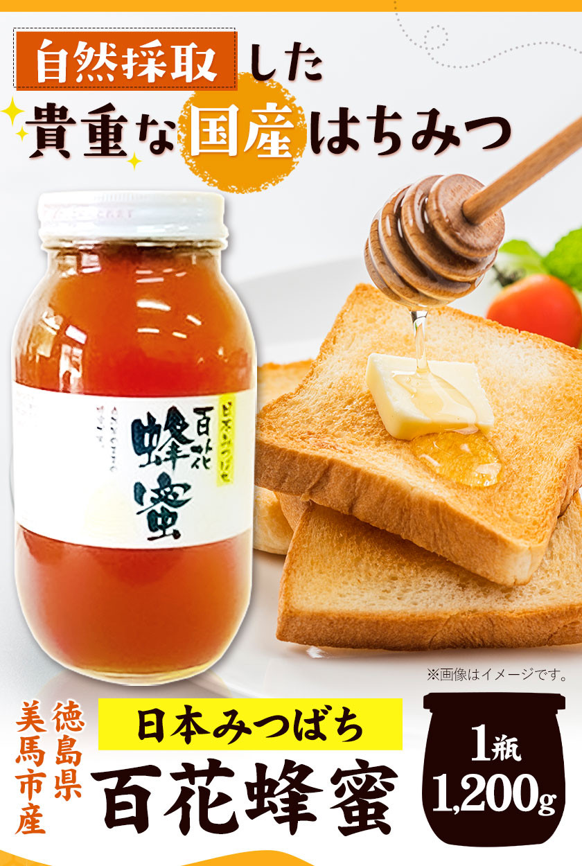 ハチミツ国産日本蜜蜂の蜂蜜2023年7月採蜜1200g×1本