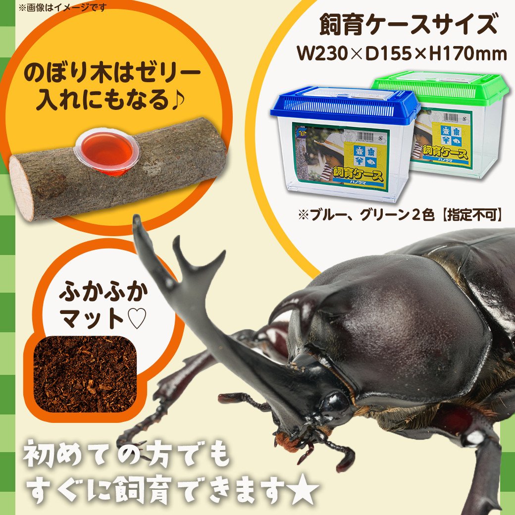 昆虫ゼリー高タンパク プロゼリー16g 50個 クワガタ カブトムシ 小動物