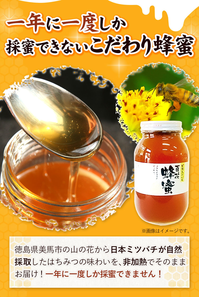 人気アイテム ハチミツ国産日本蜜蜂の蜂蜜2023年7月採蜜1200g×2本
