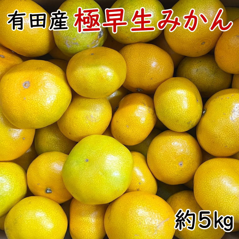 数量限定 星タンゴール（清見）4.5キロ（箱込み） 家庭用 - 果物