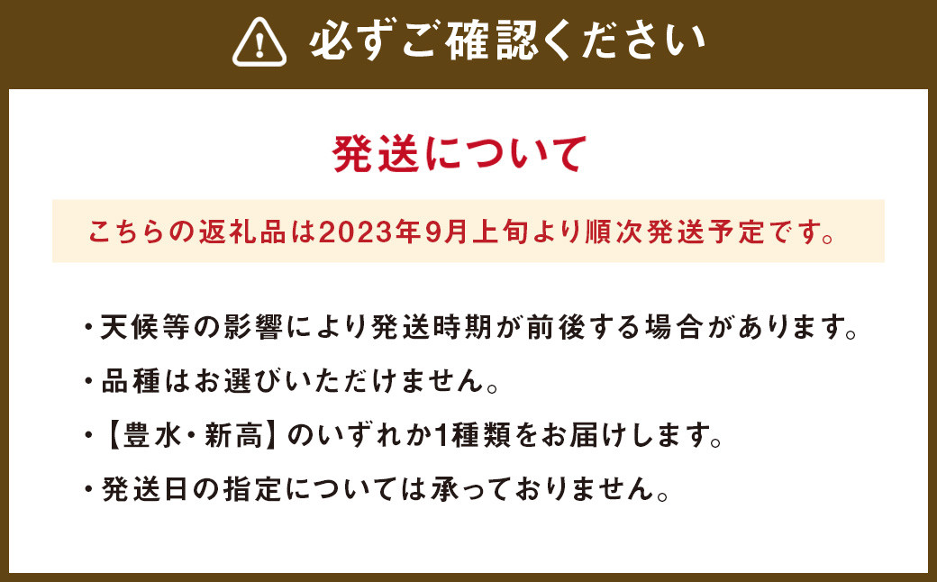 2023年9月上旬より発送開始】 九重町産 梨 約5kg 豊水 新高 果物