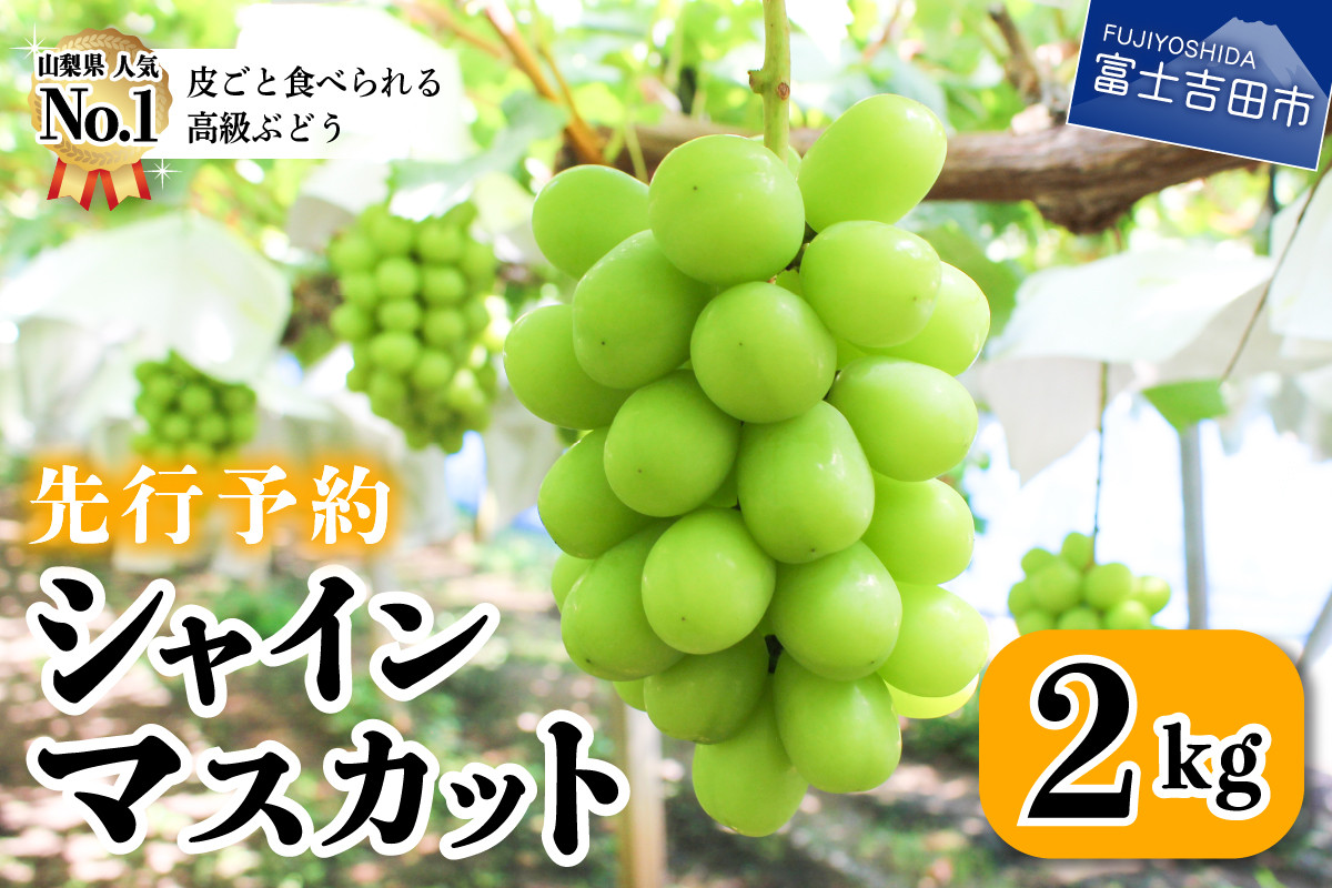 フルーツ王国】 山梨県産 シャインマスカット 約2.0kg(3~4房) - 山梨県