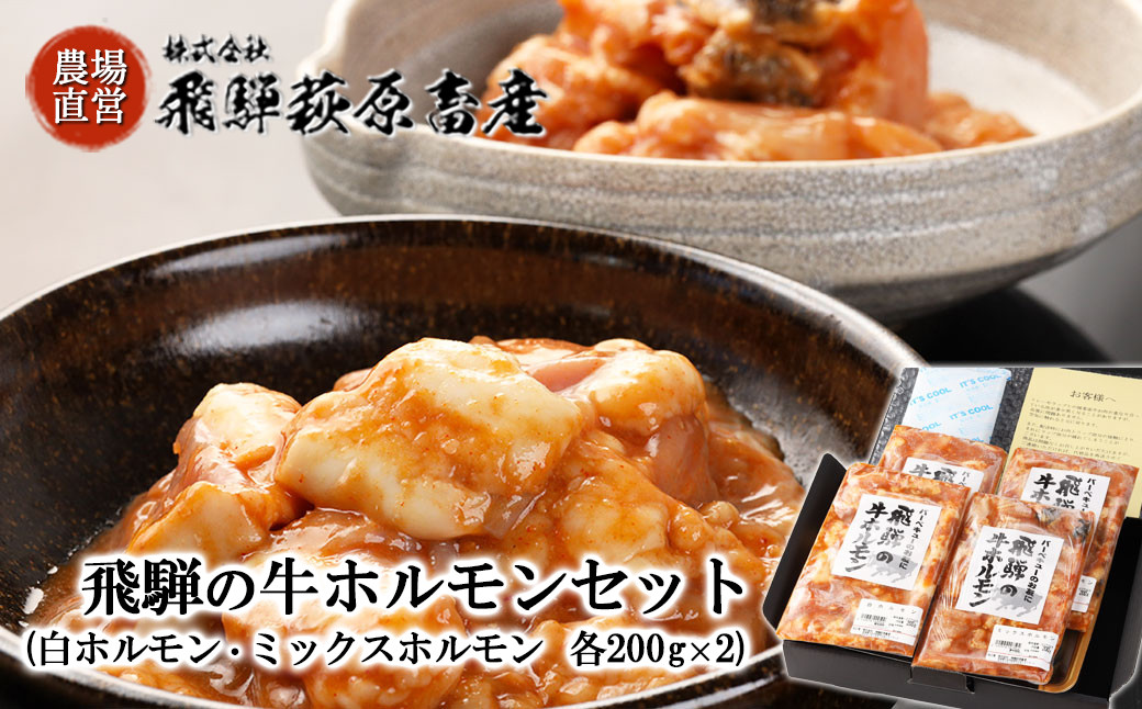 和牛　牛肉　バーベキュー　200g×2）国産　200g×2・ミックスホルモン　【冷凍配送】　2種類を食べ比べ！飛騨の牛ホルモンセット　ブランド牛　岐阜県下呂市｜ふるさとチョイス　計800g（白ホルモン　BBQ　ふるさと納税サイト